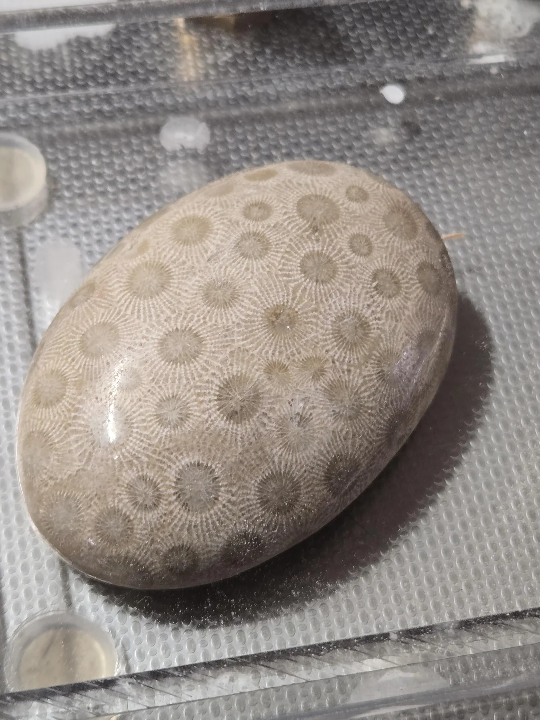 How to Polish Petoskey Stones